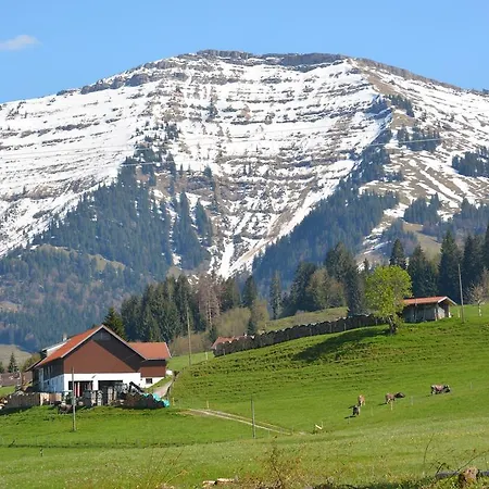Glockenblume Apartament Oberstaufen