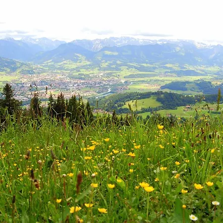 Glockenblume